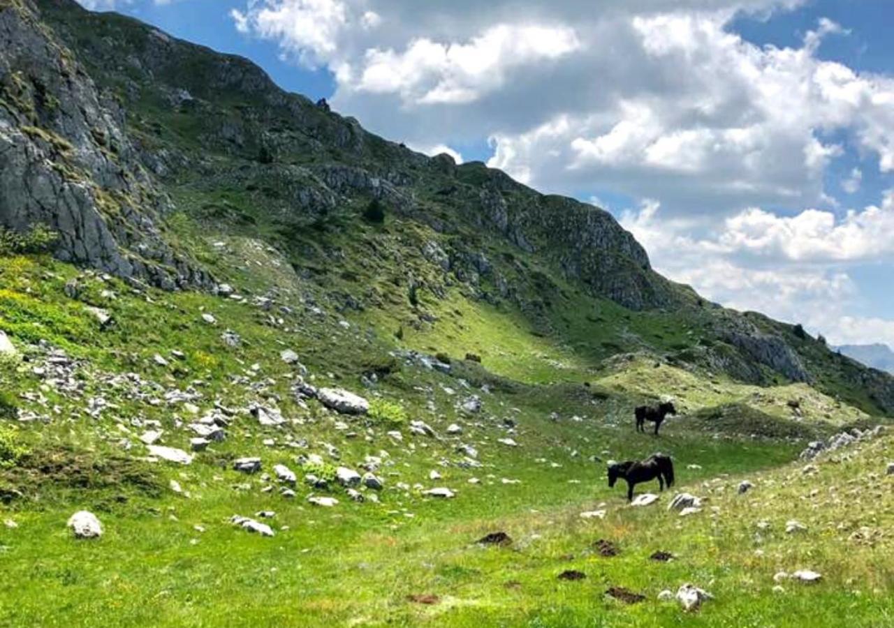 Katun Kuline Apartment Kolasin Luaran gambar
